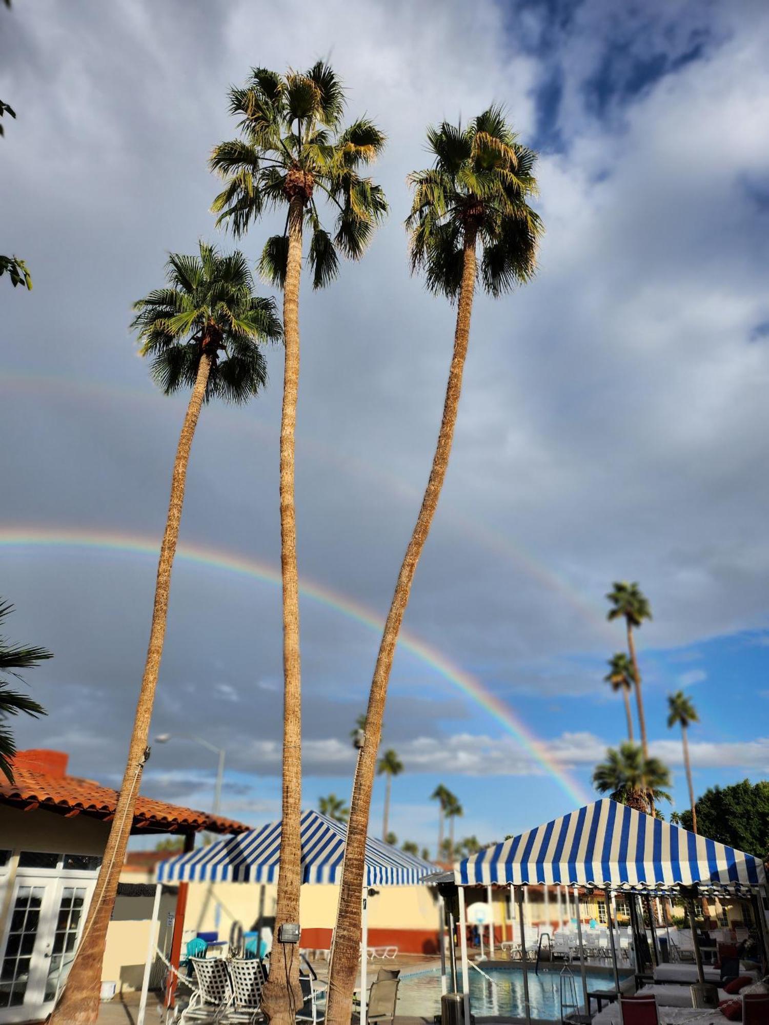 Exotic Dreams Resort Adults Only Palm Springs Extérieur photo