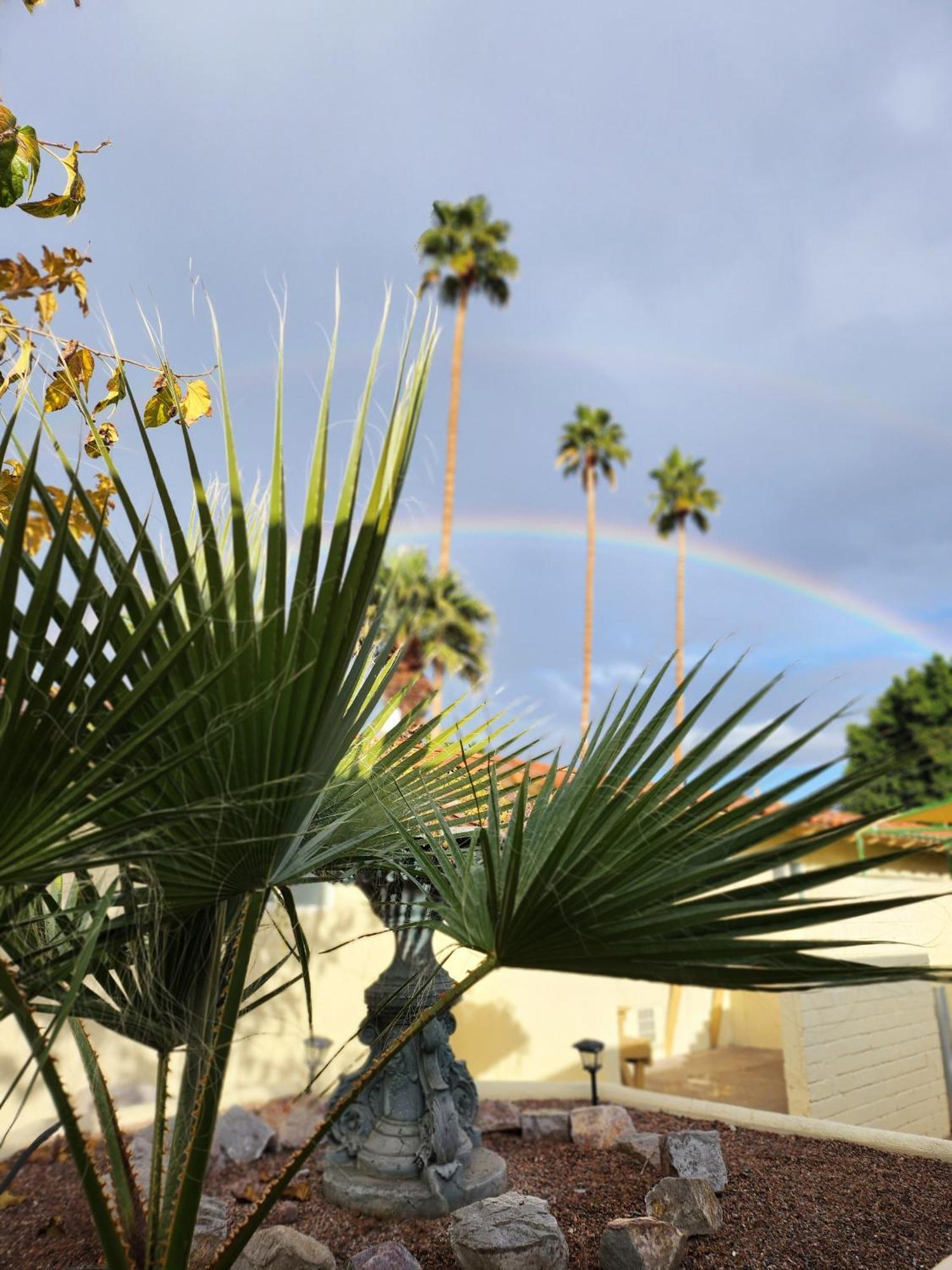 Exotic Dreams Resort Adults Only Palm Springs Extérieur photo